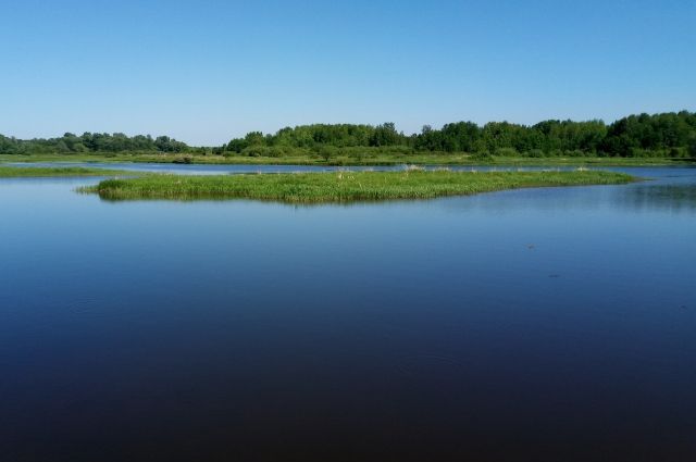 Во Владимирской области ведётся мониторинг водных объектов