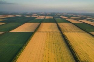 В Украине заработал рынок земли: что изменится