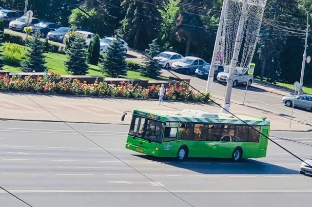 В Курске на линию вышли 12 низкопольных автобусов