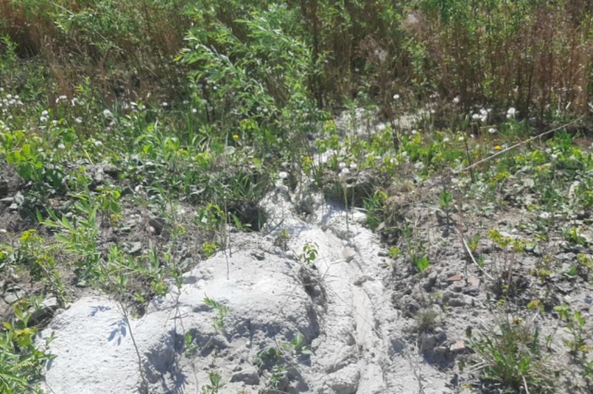 В Тюмени водителю объявили выговор за слив бетона в ЖК «Правобережный» |  АиФ Тюмень