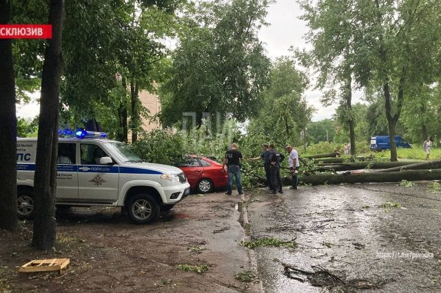В Великих Луках более 40 автомобилей пострадали в ураган