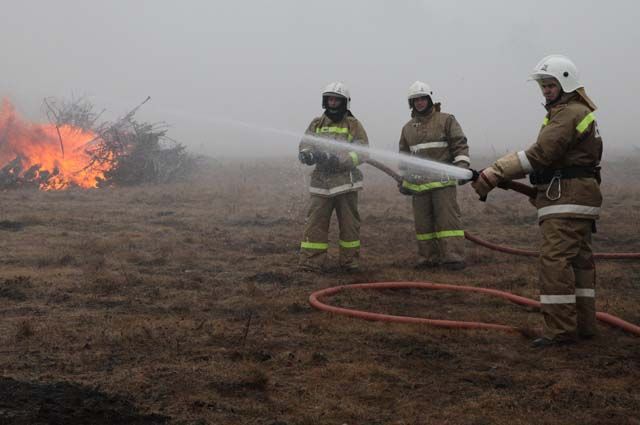 В Волгоградской области за сутки зафиксировали 15 возгораний травы