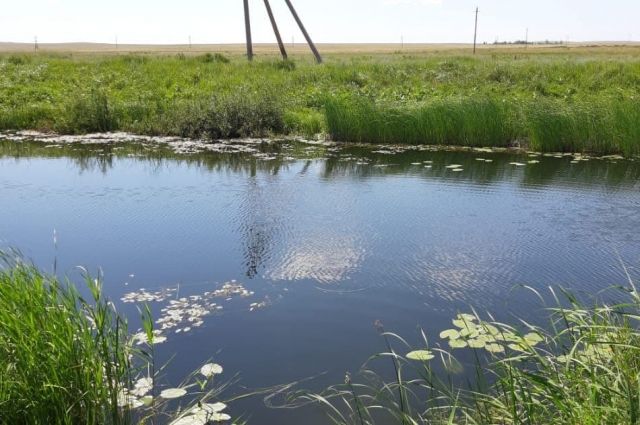 Тело утонувшего всплыло на поверхность водоема около поселка Весенний. 