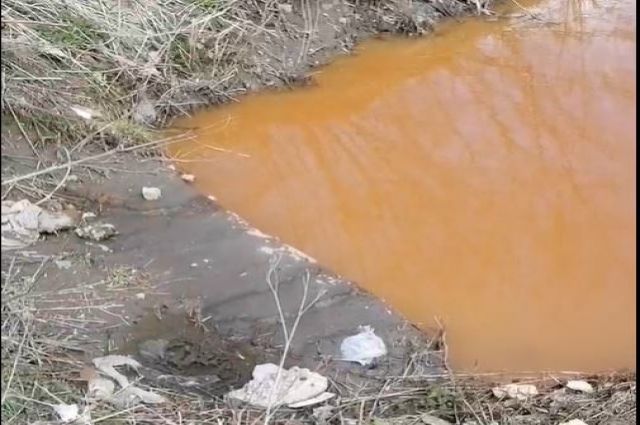 Чкаловский завод в Новосибирске загрязнил нечистотами реку Каменку