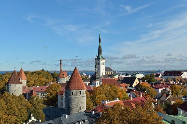 Прошедшие вакцинацию псковичи могут поехать в Эстонию на 24 часа