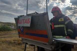 Крупный степной пожар под Медногорском удалось локализовать вечером 6 июля.
