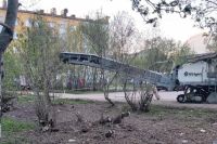 Фото Во дворе в центре Мурманска вырубили деревья.
