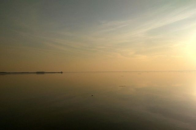 Вода в Финском заливе прогрелась до +24 градусов