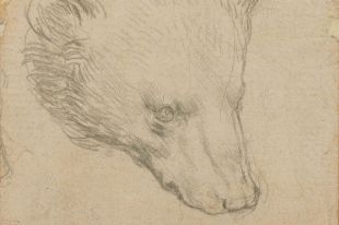 Что известно о рисунке Леонардо да Винчи, проданном за рекордные £8,9 млн?