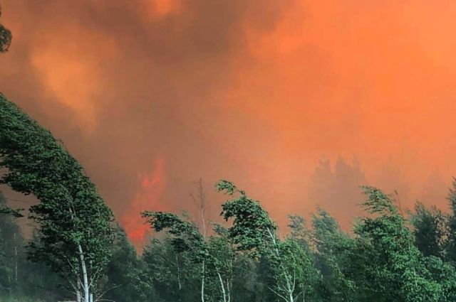 Лесной пожар в Челябинской области перекинулся на посёлок Запасное