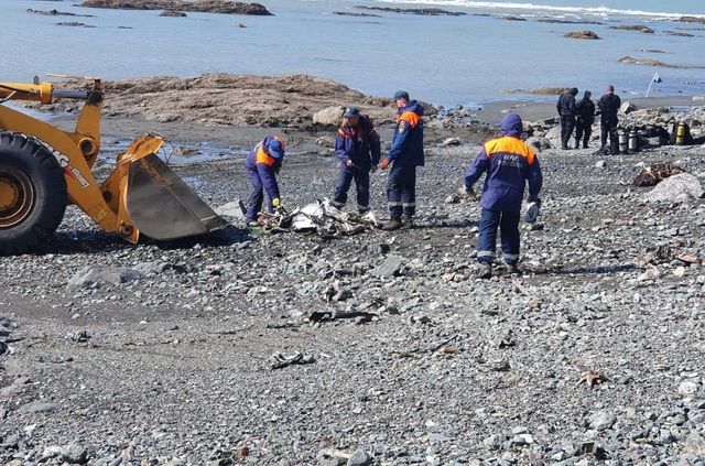 На месте крушения Ан-26 на Камчатке спасатели собирают обломки самолёта