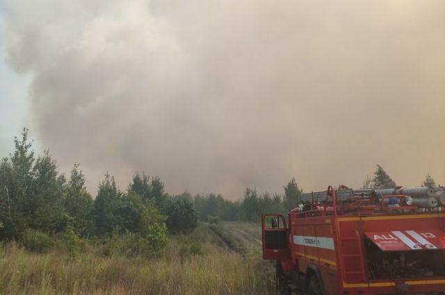 Лесной пожар вспыхнул под Тольятти