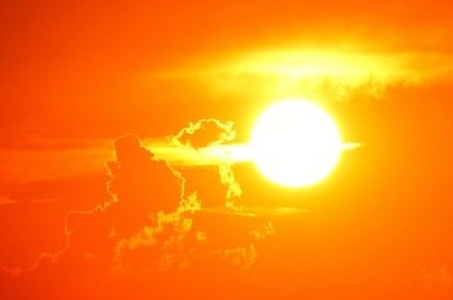 Жителей Брянской области предупреждают об аномальной жаре