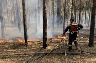 За минувшую неделю в Тюменской области произошло 55 пожаров