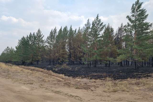 Ликвидация ландшафтных пожаров продолжается на юге Челябинской области