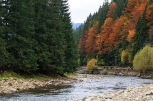 В реках Карпат ожидается подъем уровня воды.