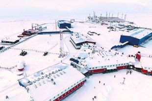 Что за музыкальное „Хранилище судного дня“ построят в Арктике?