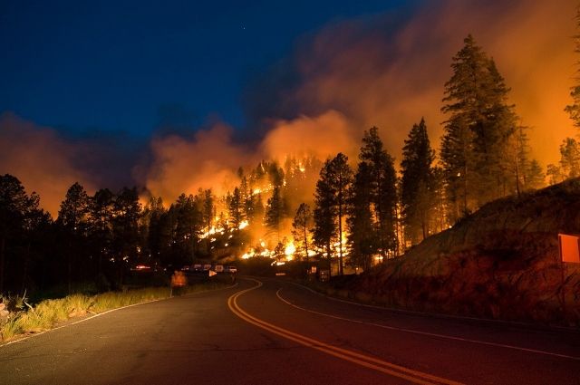 Лесные пожары ликвидировали на юге Челябинской области