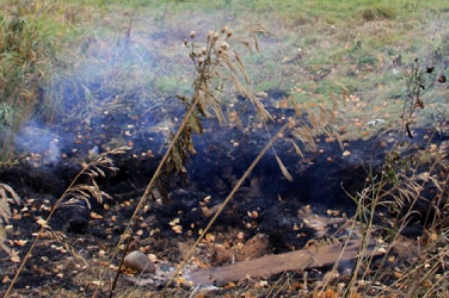 Горит мох: под Краснокамском тушат низовой лесной пожар