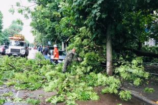 В Житомире прошел ураган с градом