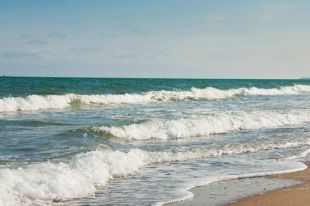 Морская вода на некоторых пляжах Затоки непригодна для купания