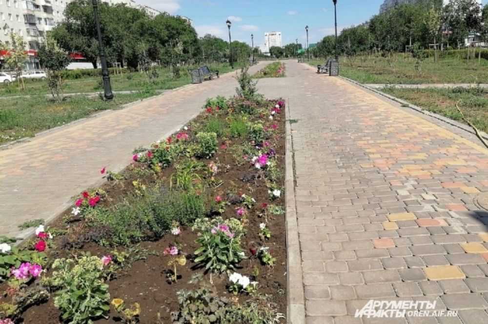 Сквер Лебедева и Сираева пока не стал любимым местом горожан.