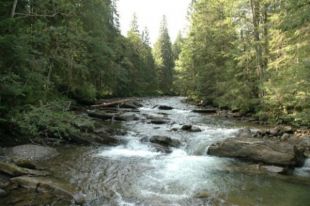 На западе Украины ожидается поднятие уровня воды в реках.