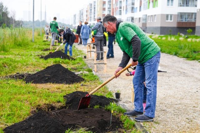 В Екатеринбурге провели экоэксперимент с высадкой деревьев в "био-пакеты"