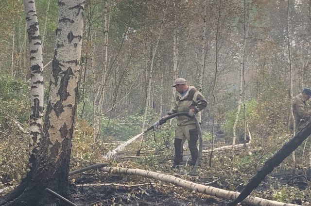 Под Краснокамском продолжают бороться с лесным пожаром