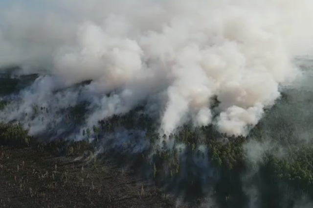 Выросший до 135 га пожар под Краснокамском сняли на видео с воздуха
