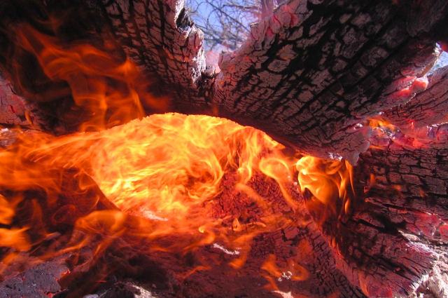 С начала пожароопасного сезона ликвидировано 227 лесных пожаров