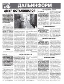 «АиФ-Дальинформ» № 28