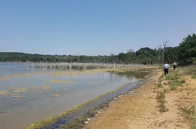 Деревья на побережье озера Тамбукан высохли из-за повышения уровня воды