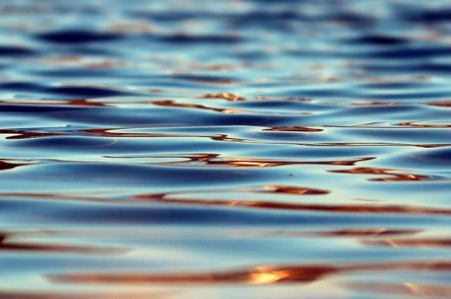 Три водоема в Смоленске временно закрывают для купания