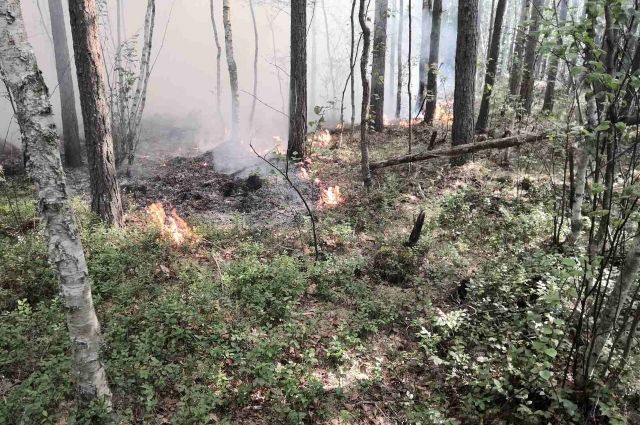 Пожар ещё не затушен: жителей Краснокамска просят пока не посещать лес