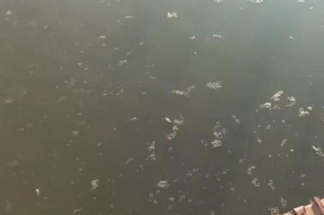 В Борковском затоне Рязани рыбаки заметили на воде пятно с запахом нечистот