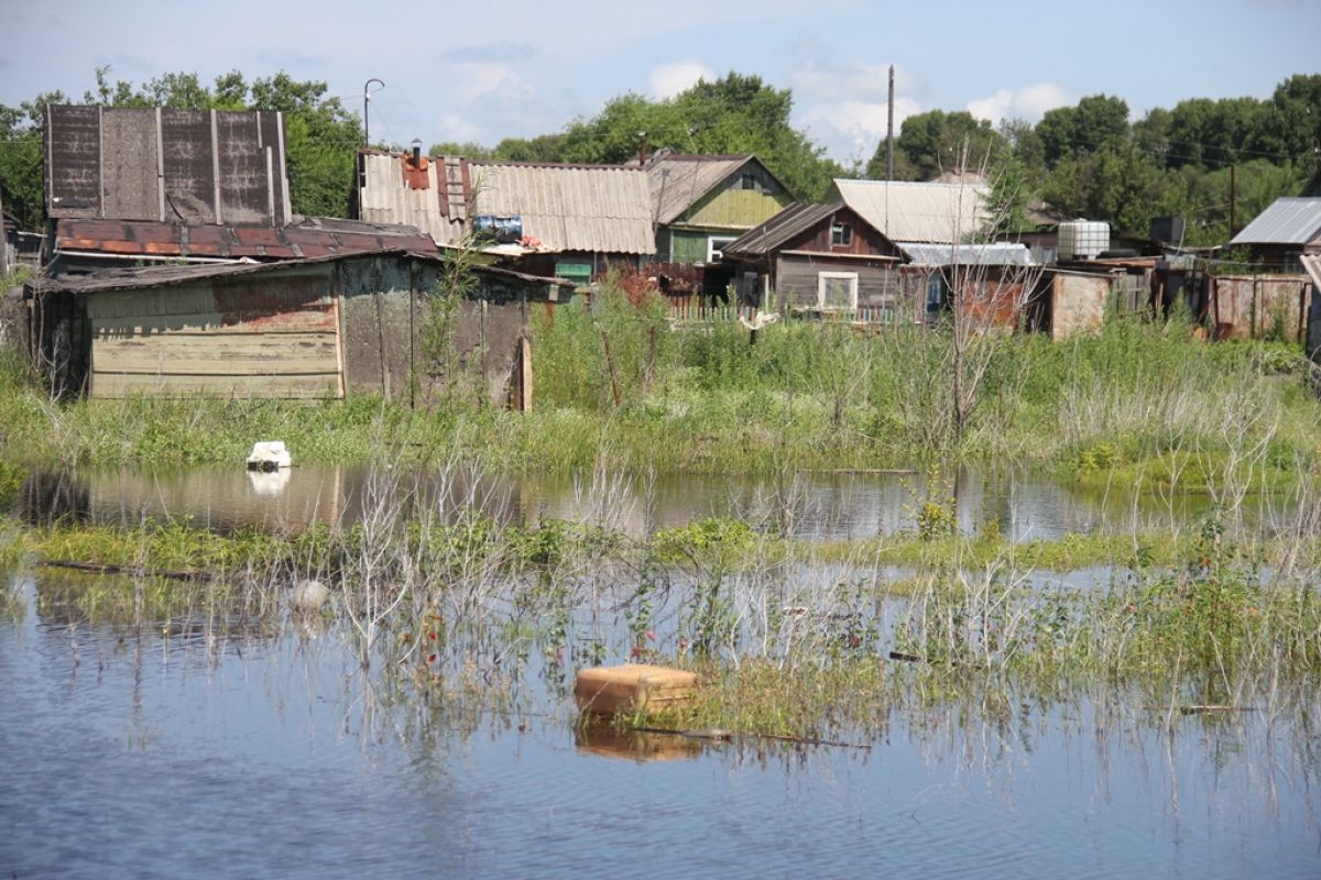 Вода ушла из домов в поселках Хабаровского края после паводка | Аргументы и  Факты