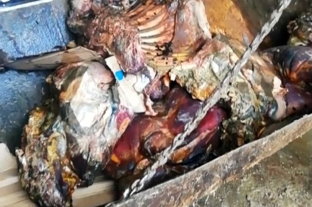 220 кг подозрительной говядины было утилизировано в Брянской области