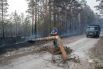 Сотрудник лесной охраны расчищает дорогу между деревнями от упавшего горелого дерева рядом с Сямозером в Пряжинском районе Карелии