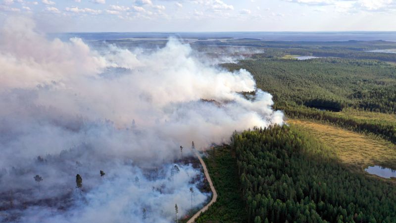 Лесные пожары рядом с Сямозером в Пряжинском районе Карелии