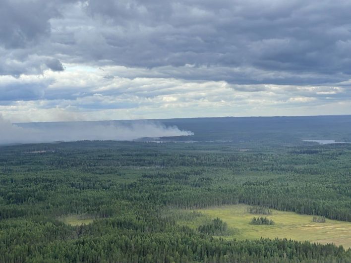 Лесные пожары в Карелии 
