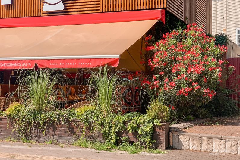 Кафе и рестораны любят украшать свои террасы густыми кустарниками.