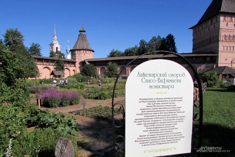 Аптекарский огород Спасо-Евфимиева монастыря в Суздале.