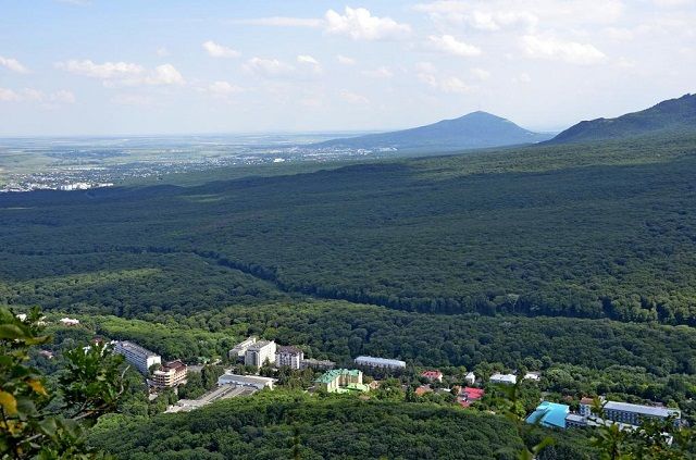 В Железноводске обещают восстановить городские леса