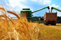 На какой урожай можно рассчитывать и снизит ли он цены.
