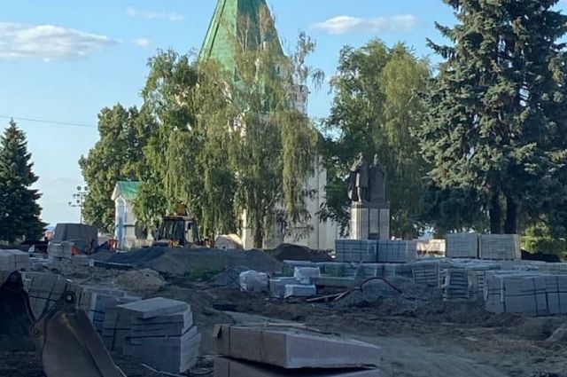 Вырубленные ели в нижегородском кремле заменят новыми деревьями на 100%