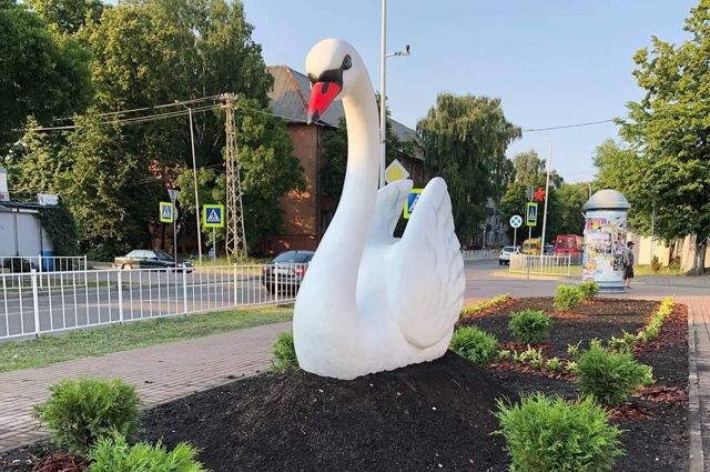 В Балтийске установили скульптуру гигантского лебедя