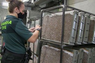 В Испании эксплуатировало украинцев на нелегальном производстве сигарет