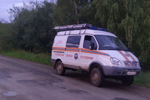 В Пермском крае спасли трёх грибников, заблудившихся в лесу поздно вечером