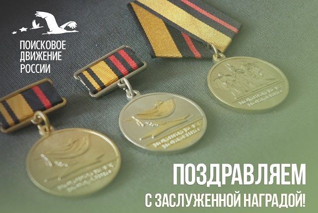 Медали ставропольским поисковикам вручил Шойгу.